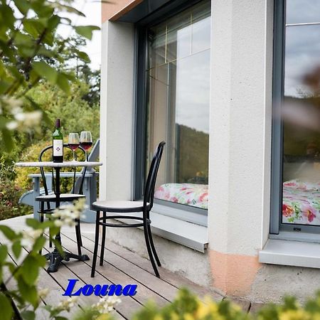 Appartements 5 Personnes Maya Et Louna Ксонрю-Лонжмер Екстер'єр фото